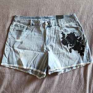 Lane Bryant Shorts
